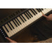 Цифрове піаніно CASIO AP-S450BN